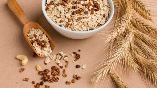 Ancient Grain In A Healthy Cereal Nyt