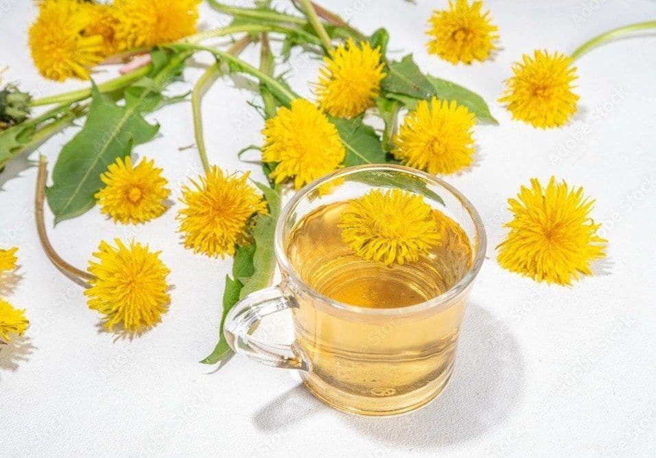 A glass cup filled with dandelion tea, surrounded by fresh yellow dandelion flowers and green leaves on a white surface.