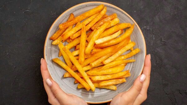 How To Make Frozen French Fries In Air Fryer