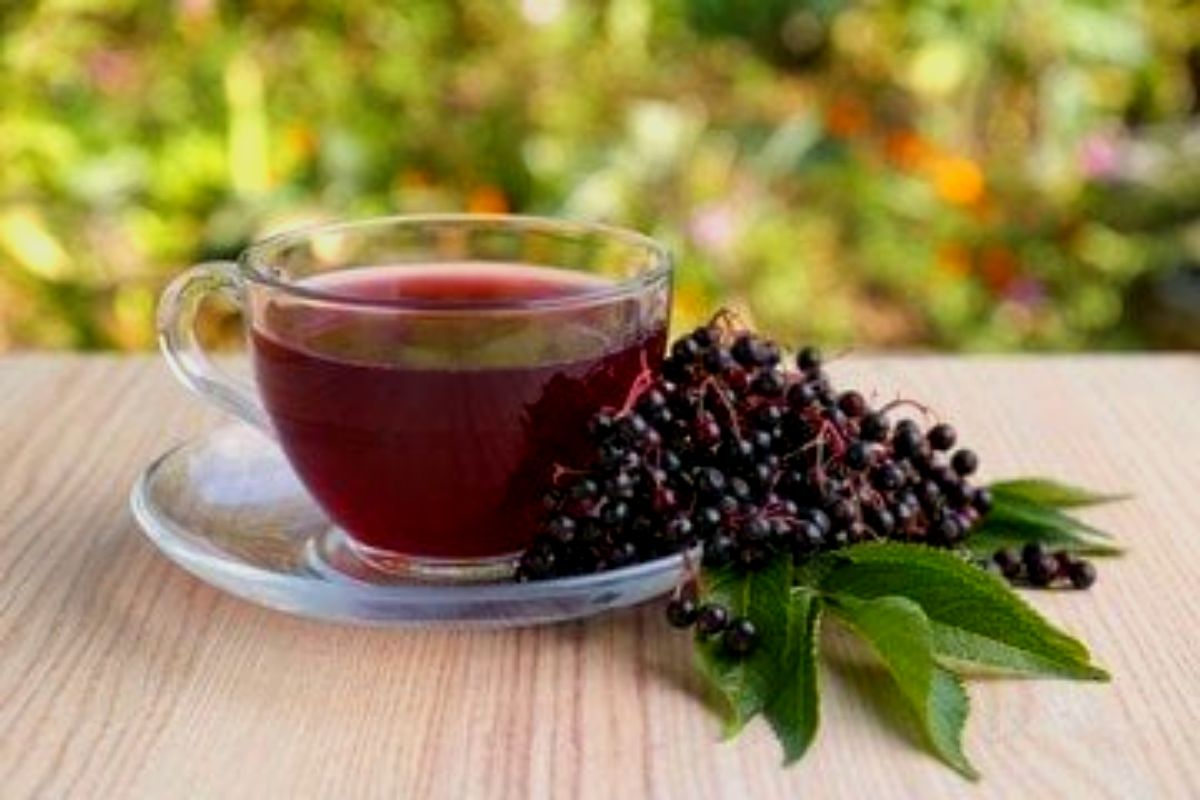 A glass cup filled with elderberry tea, next to a bunch of fresh elderberries and green leaves, placed on a wooden table with a blurred garden background.