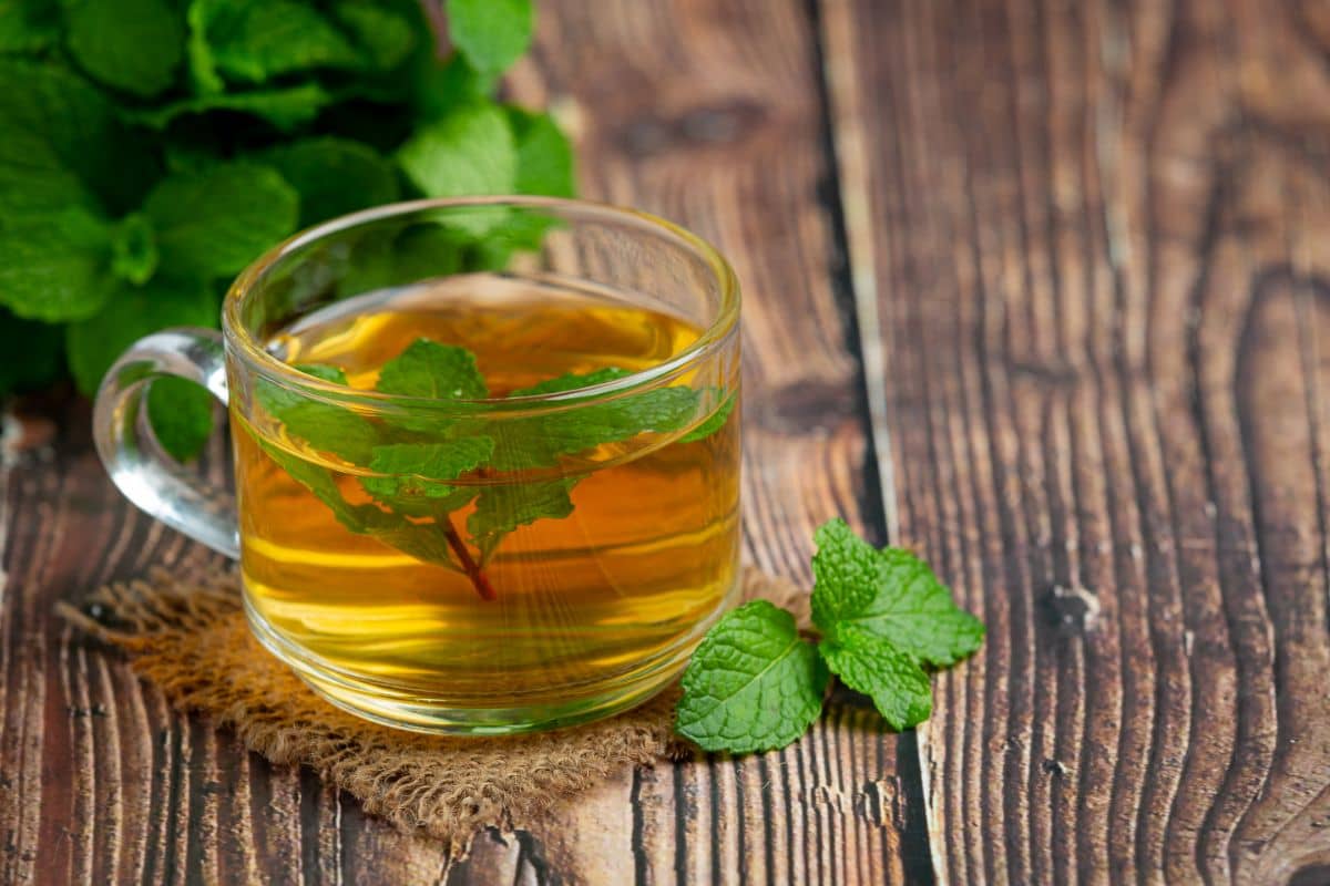 A clear glass cup filled with mint tea, garnished with fresh mint leaves, placed on a rustic wooden table with more mint leaves in the background.