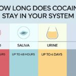 How Long Does Cocaine Stay In Your System