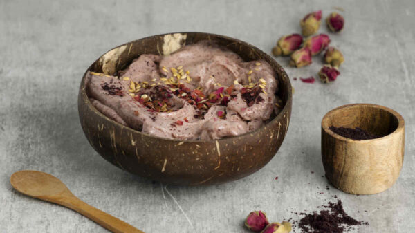 Ninja Creami Recipes Healthy