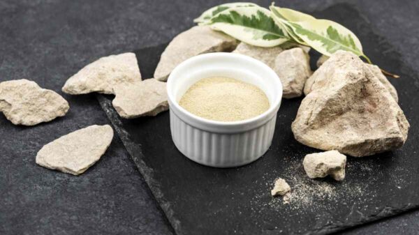 Is Bone Marrow A Paste