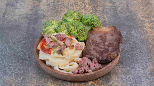 Carnivore Diet Recipes